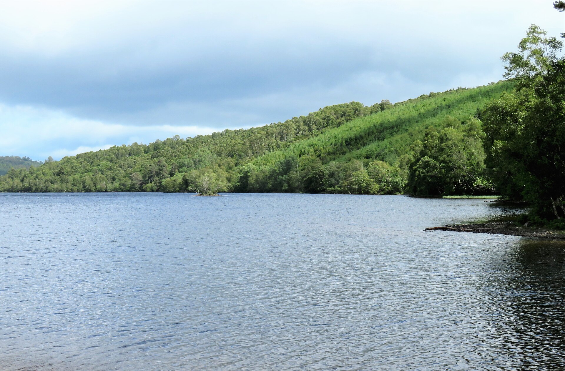 Blue-Green Algae: The Hidden Summer Danger in Highland Lochs